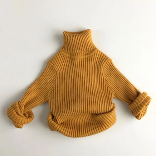 Cozy Cute Turtleneck Little Sweaters